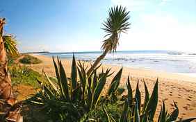 50 m zum schönsten Strand